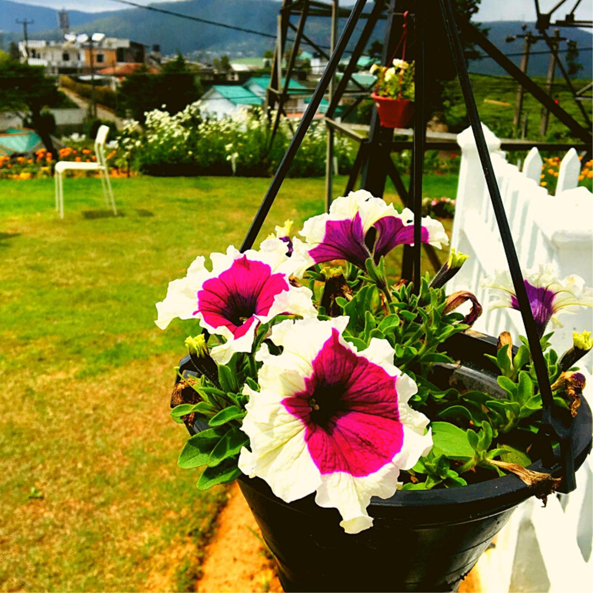 Thuring'S Holiday Bungalow Nuwara Eliya Exteriér fotografie