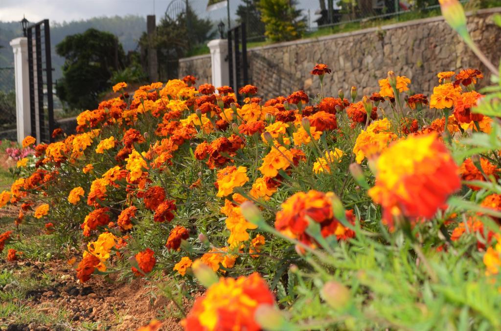 Thuring'S Holiday Bungalow Nuwara Eliya Exteriér fotografie